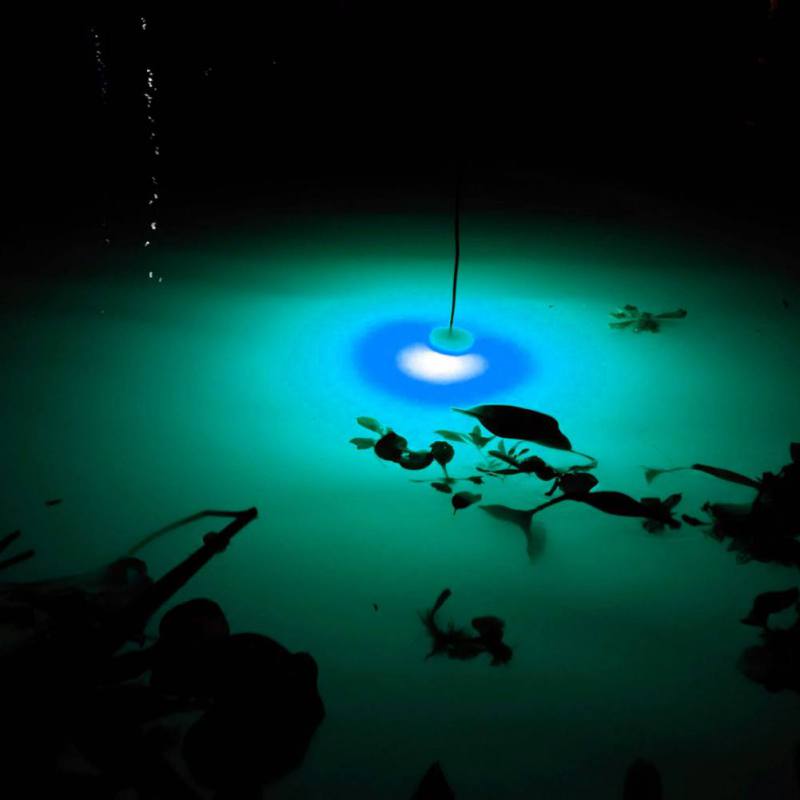 Mini Fishing Attraction Lamp G - Fishing Boat Navigation Light avaliação e preço