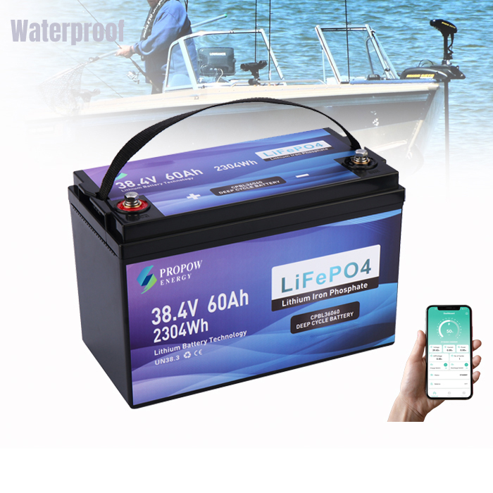 36Volt Motor Batteries Fishing - Fishing Boat Trolling Motor avaliação e preço
