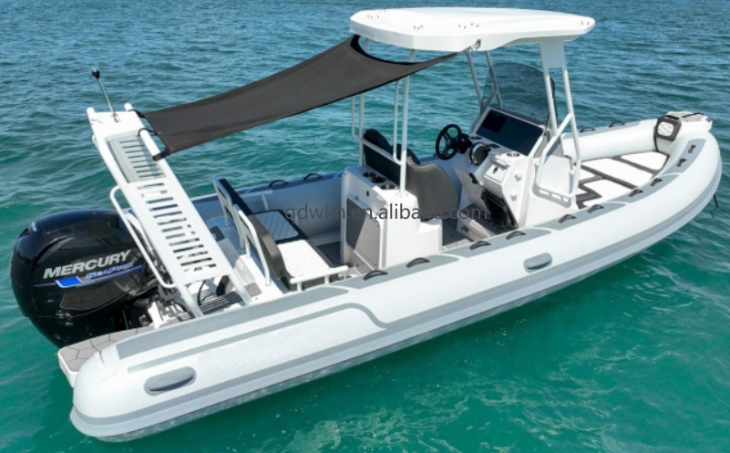 MSCE Certified Sport Style Dou - Fishing Boat Fiberglass avaliação e preço